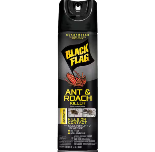 Black Flag Ant & Roach Killer Unscented 17.5oz