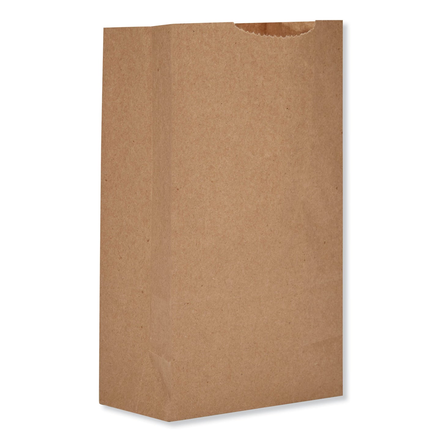 #2 Grocery Bags 4.06x2.68x8.12in (500 Count)